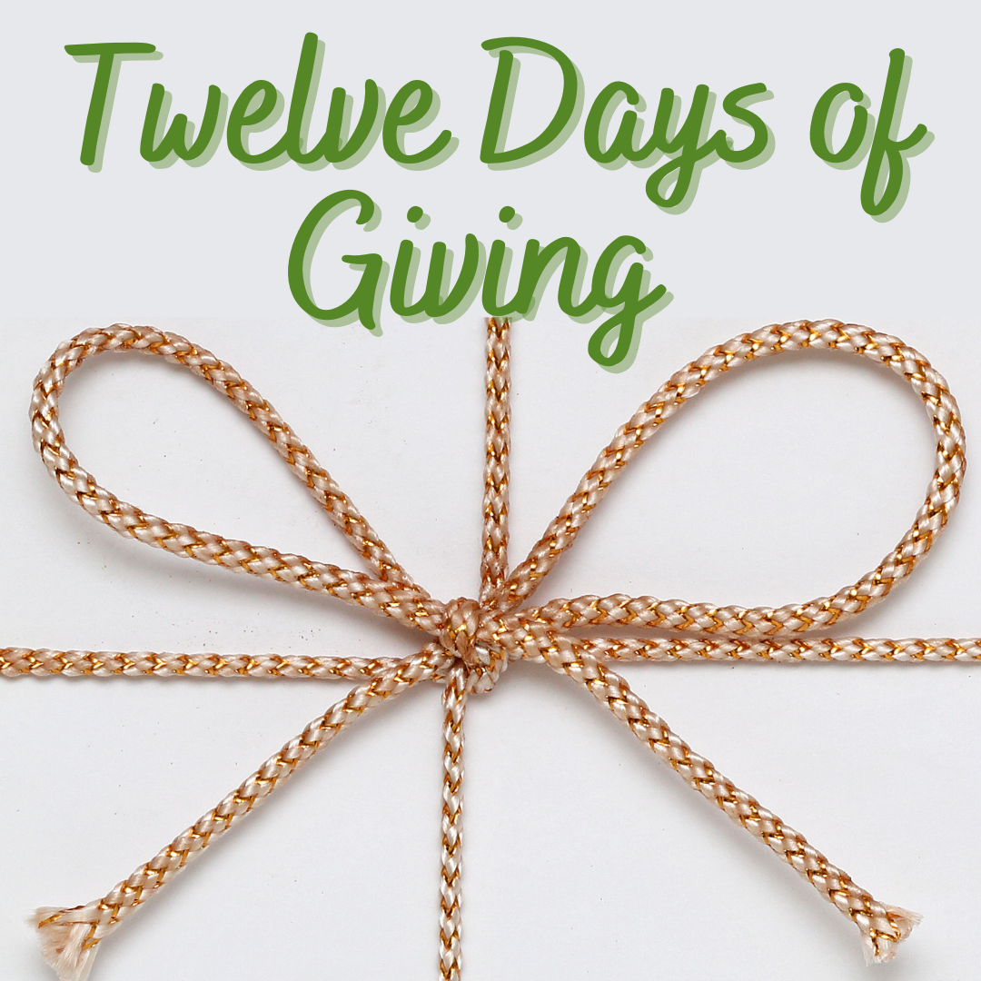 LGS Foundation's 12 Days of Giving LGS Foundation